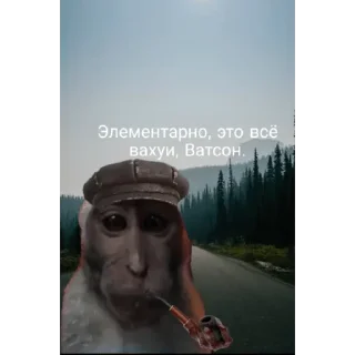 🐵 emoji Хроники о неважном Telegram sticker 5 of 119
