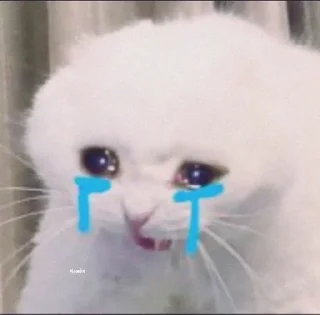 😭 emoji котики🐱 Telegram sticker 13 of 33