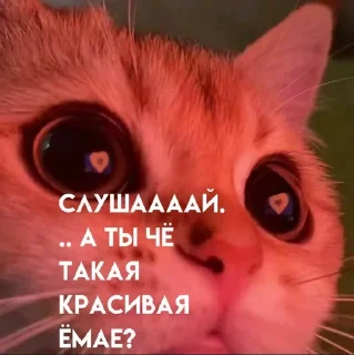 😍 emoji Галюндель Telegram sticker 8 of 10