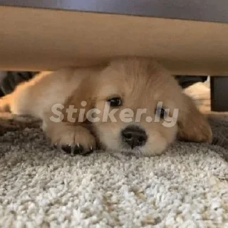 🌟 emoji Моя жизнь Telegram sticker 8 of 72