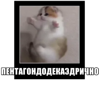 Sticker from ДАРОГУ БАРАНЫ