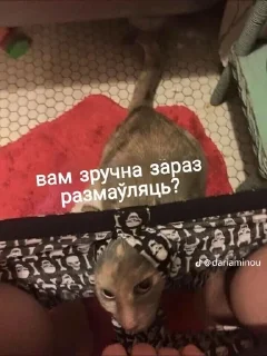 🌟 emoji Реал беларус стикерс Telegram sticker 20 of 55