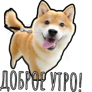 ☀️ emoji Шибаинка Telegram sticker 6 of 20