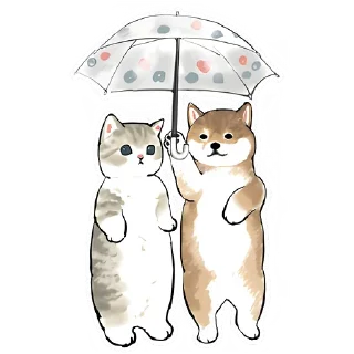 Sticker from Шиба и Нян котик @TgSticker