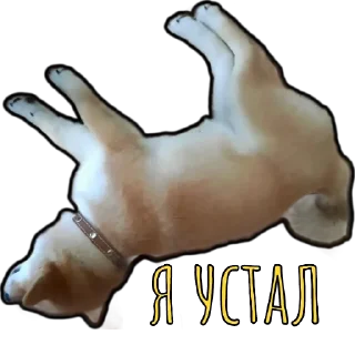 🥱 emoji Шибаинка Telegram sticker 20 of 20