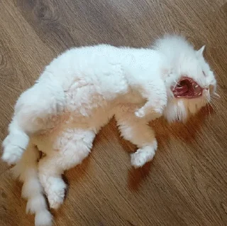 🥱 emoji Розик Telegram sticker 7 of 76