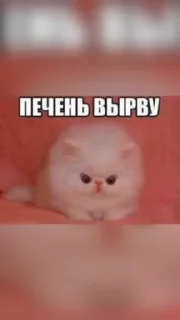 Sticker from Смешнявки