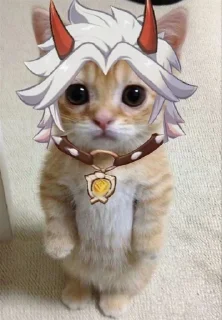 😻 emoji генш Telegram sticker 17 of 22