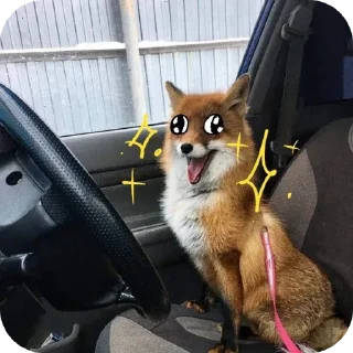 Sticker from 🦊 ( @Izuku_Midoriya15_07 )