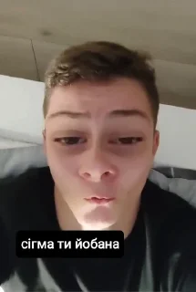 🌟 emoji Пригоди Вусайов Telegram sticker 12 of 19