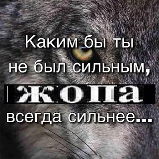 💪 emoji лерин кекес Telegram sticker 10 of 120