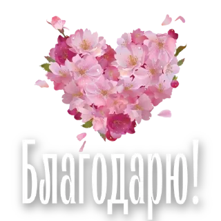 🙏 emoji Любимые, Живите в Радости @pozitivpovsudu Telegram sticker 17 of 120