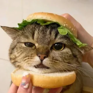 🍔 emoji Любимые стикеры @Zlak_33 Telegram sticker 12 of 26