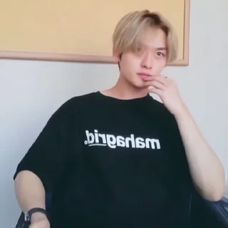 🐈 emoji minho fr stray kids @hpmarswm Telegram sticker 18 of 45