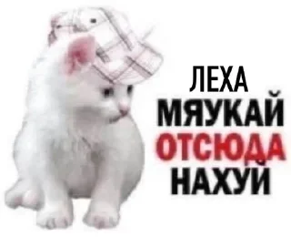 🌟 emoji Лёшка лох Telegram sticker 5 of 42