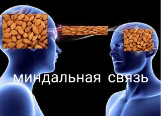 Sticker from MEMES