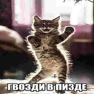 Sticker from людоеды | @j0kullse
