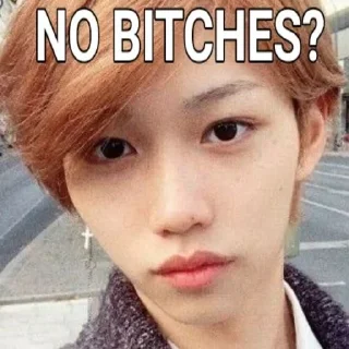 🤨 emoji skz "no bitches?" Telegram sticker 18 of 40