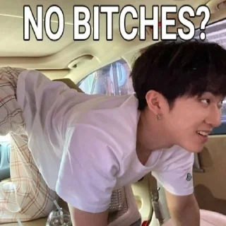 🤨 emoji skz "no bitches?" Telegram sticker 22 of 40