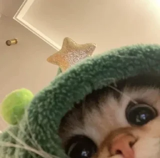 🌟 emoji Very cute kitty Telegram sticker 10 of 32