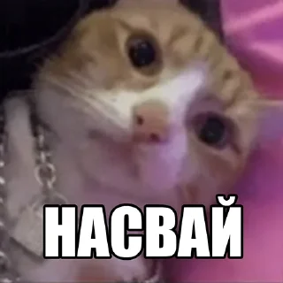 😎 emoji ЕБАНЫЕ НАРКОМАНЫ Telegram sticker 11 of 17