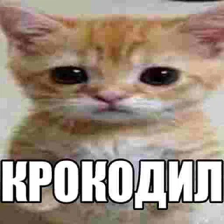 😶 emoji ЕБАНЫЕ НАРКОМАНЫ Telegram sticker 6 of 17