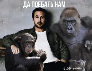🌟 emoji Да поебать мне Telegram sticker 7 of 16