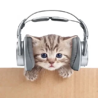 🎧 emoji vibes Telegram sticker 12 of 75