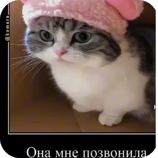 Sticker from Создатель я профи ::