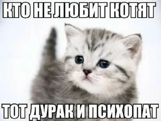 😡 emoji Котейки🌹 Telegram sticker 22 of 48