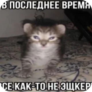 🫥 emoji х         з Telegram sticker 5 of 17