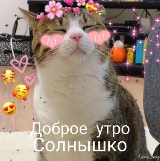 ☀️ emoji Iovecore webcore ❤️ Telegram sticker 16 of 17