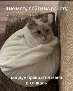 Sticker from На случай важных переговоров