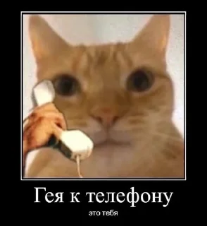 🗣 emoji Пиздец короче говоря Telegram sticker 4 of 85