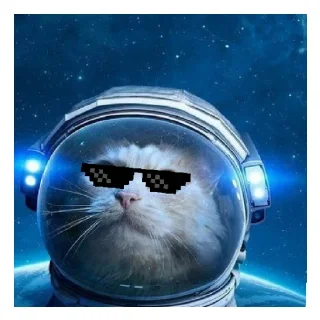 😎 emoji Егор Telegram sticker 7 of 29