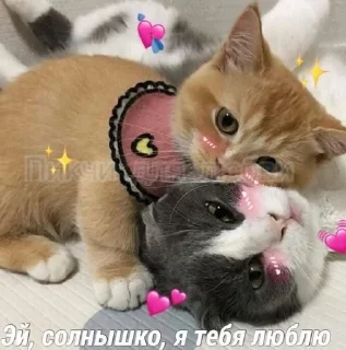 ❤️ emoji Пикчи для любви ❤️‍🔥 Telegram sticker 5 of 21