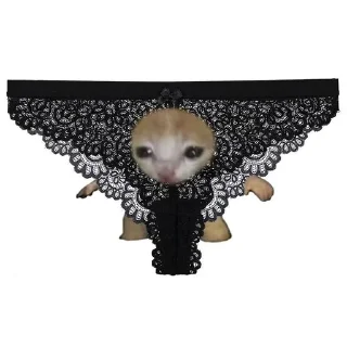 🌟 emoji Я когда нибудь уйду и съебался Telegram sticker 14 of 48