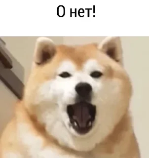 😩 emoji Хи-хи ха-ха Telegram sticker 21 of 120