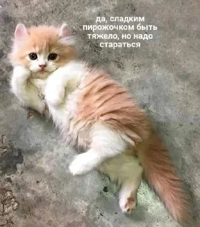 ☺️ emoji Хи-хи ха-ха Telegram sticker 1 of 120
