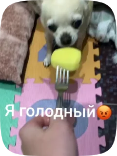 🥔 emoji Лелька видео @jopa228hfhd Telegram sticker 18 of 30