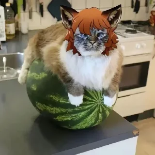 🌟 emoji Рен Хана Telegram sticker 21 of 45