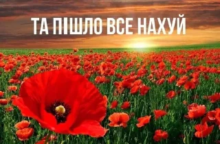 🌟 emoji стикеры меченого Telegram sticker 10 of 120