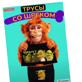 🙈 emoji кефтеме Telegram sticker 22 of 89