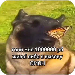 😎 emoji кефтеме Telegram sticker 17 of 89