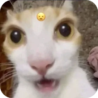 Sticker from На все случаи жизни