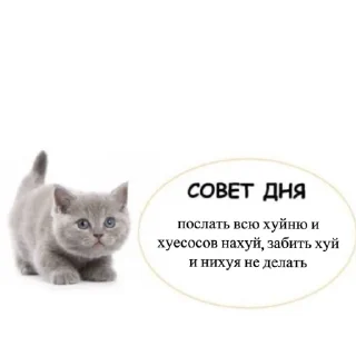 Sticker from На все случаи жизни