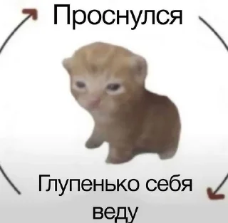 Sticker from котьки хехе