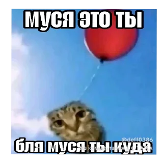 🐱 emoji Челлендж найди мусю Telegram sticker 20 of 98
