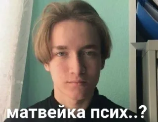 💀 emoji matveykaВЕРНИСЬПЖЖ Telegram sticker 13 of 40