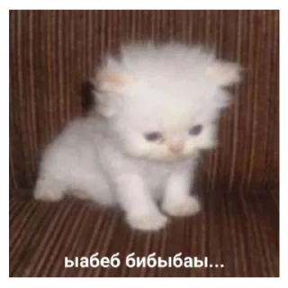 😌 emoji хуйня от милы спасибо Telegram sticker 6 of 77